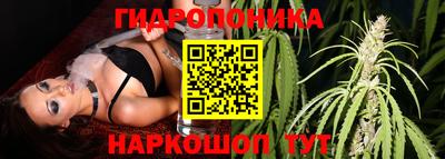 прущие грибы Обнинск