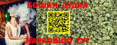 прущие грибы Обнинск